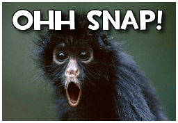 ohh-snap-7400_preview