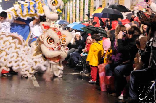 2011-san-francisco-chinese-new-year-611