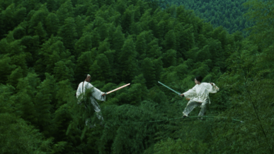 crouching-tiger-hidden-dragon-wo-hu-cang-long-2000-fight-sequence-movie-still
