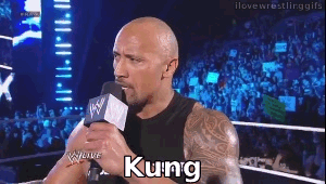 kung_pow_bitch_the_rock_wwe